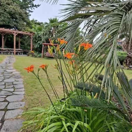 Bandi House Villa Seogwipo Room photo