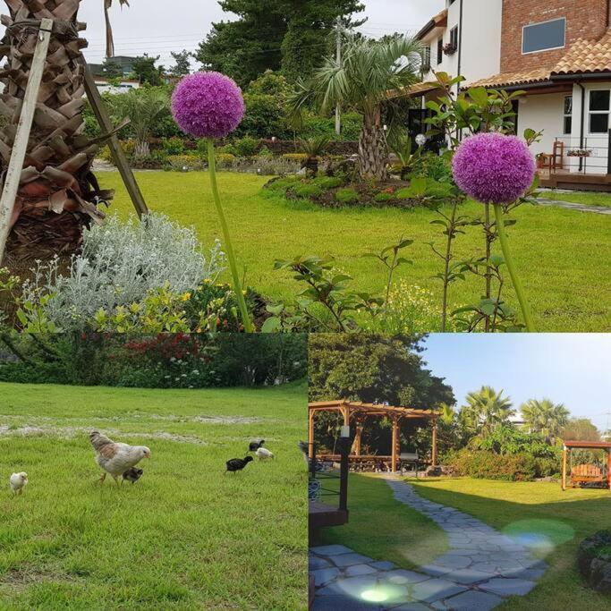 Holiday home Bandi House Seogwipo