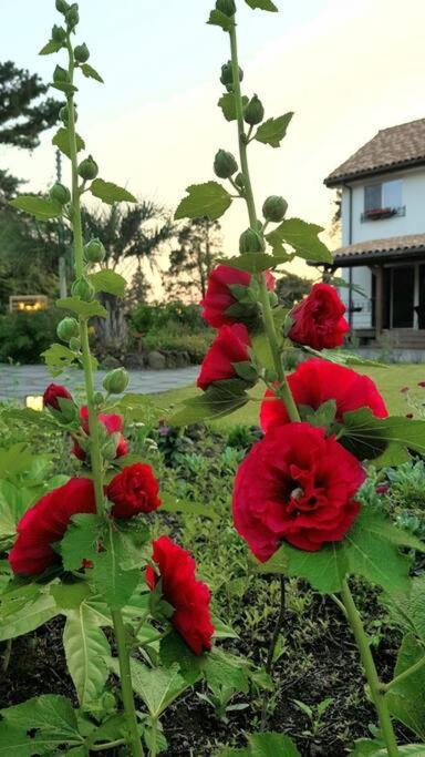 Holiday home Bandi House *