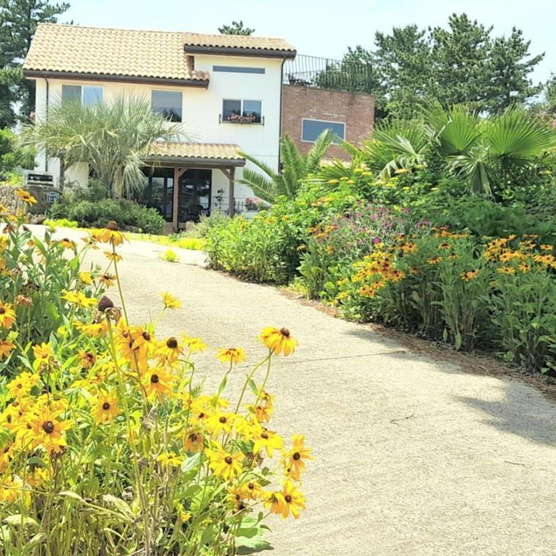 Bandi House Holiday home *