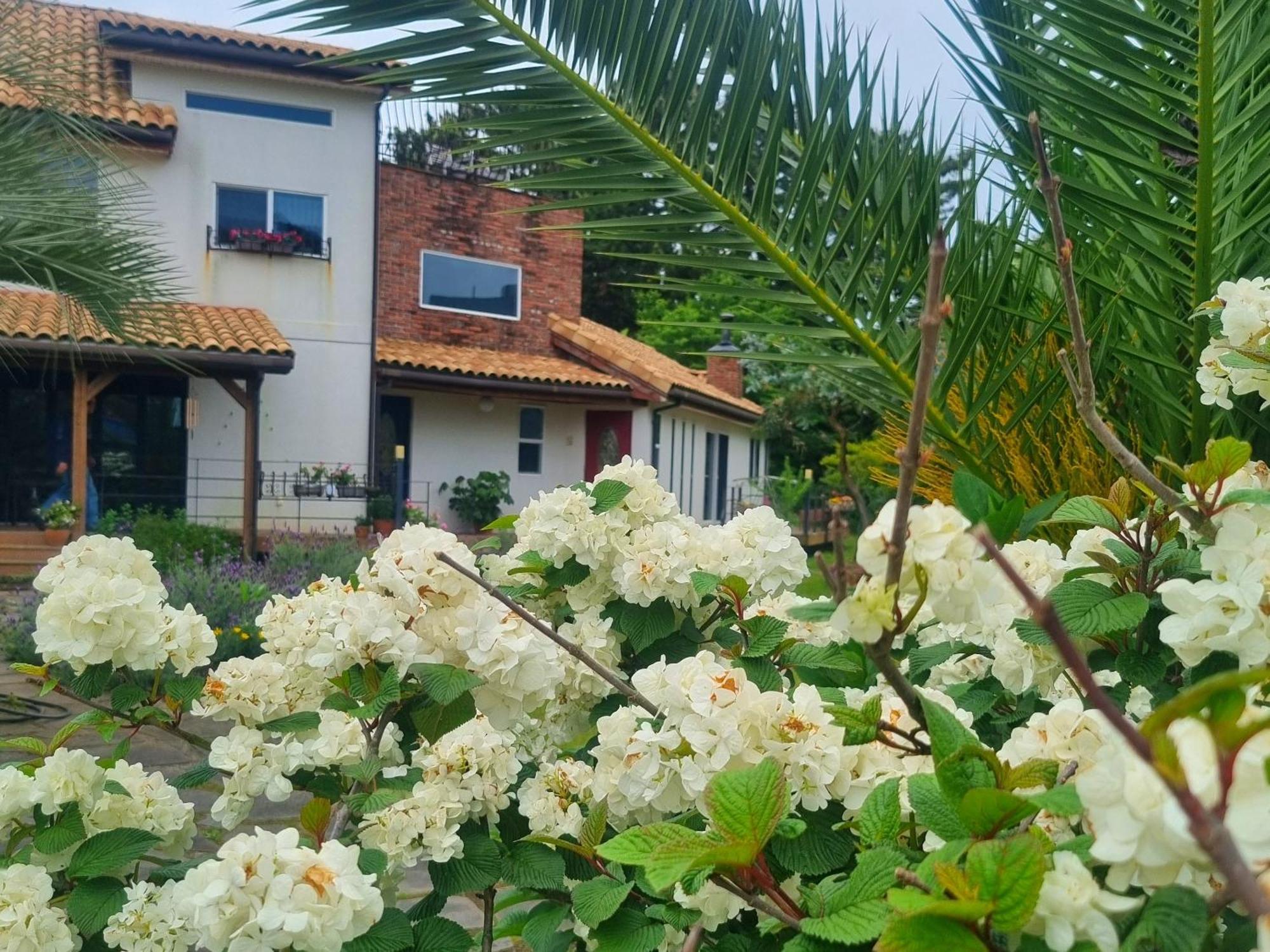Bandi House