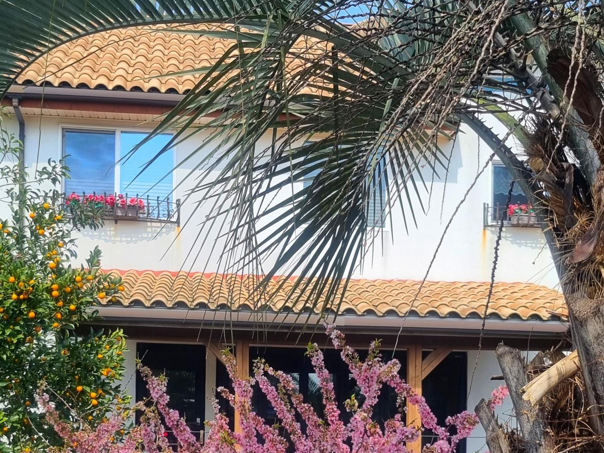 Holiday home Bandi House *