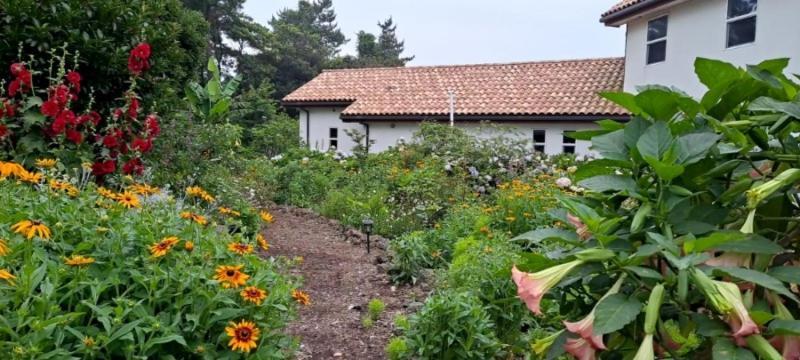 Bandi House * Seogwipo